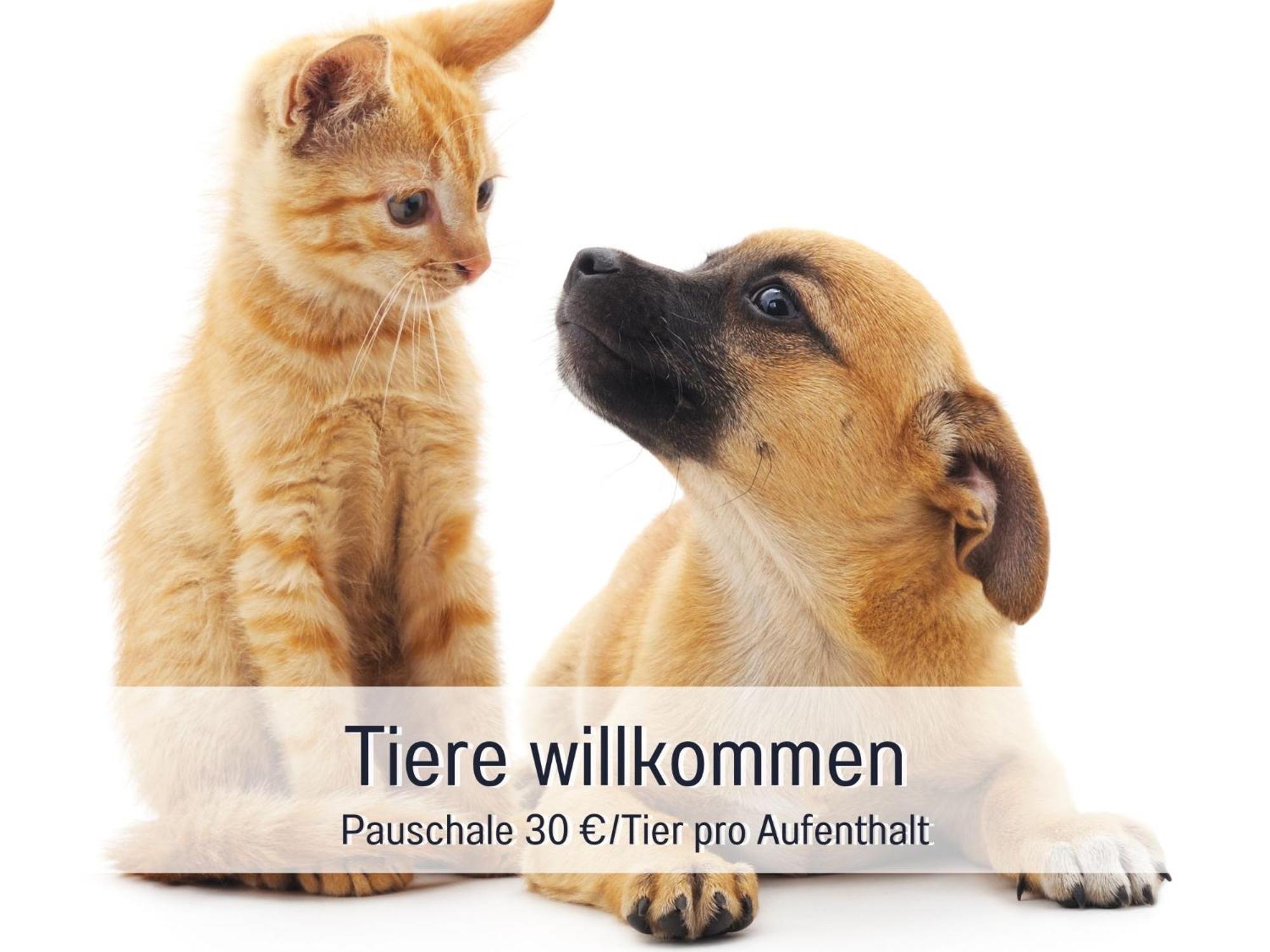 Sonnenterrasse - 3 Schlafzimmer, Whirlpool & Alpenblick - Perfekt Fuer Romantik Oder Familienurlaub Mit Kind , Hund Willkommen By Ferienwohnenamsee - Uberlingen Eksteriør bilde