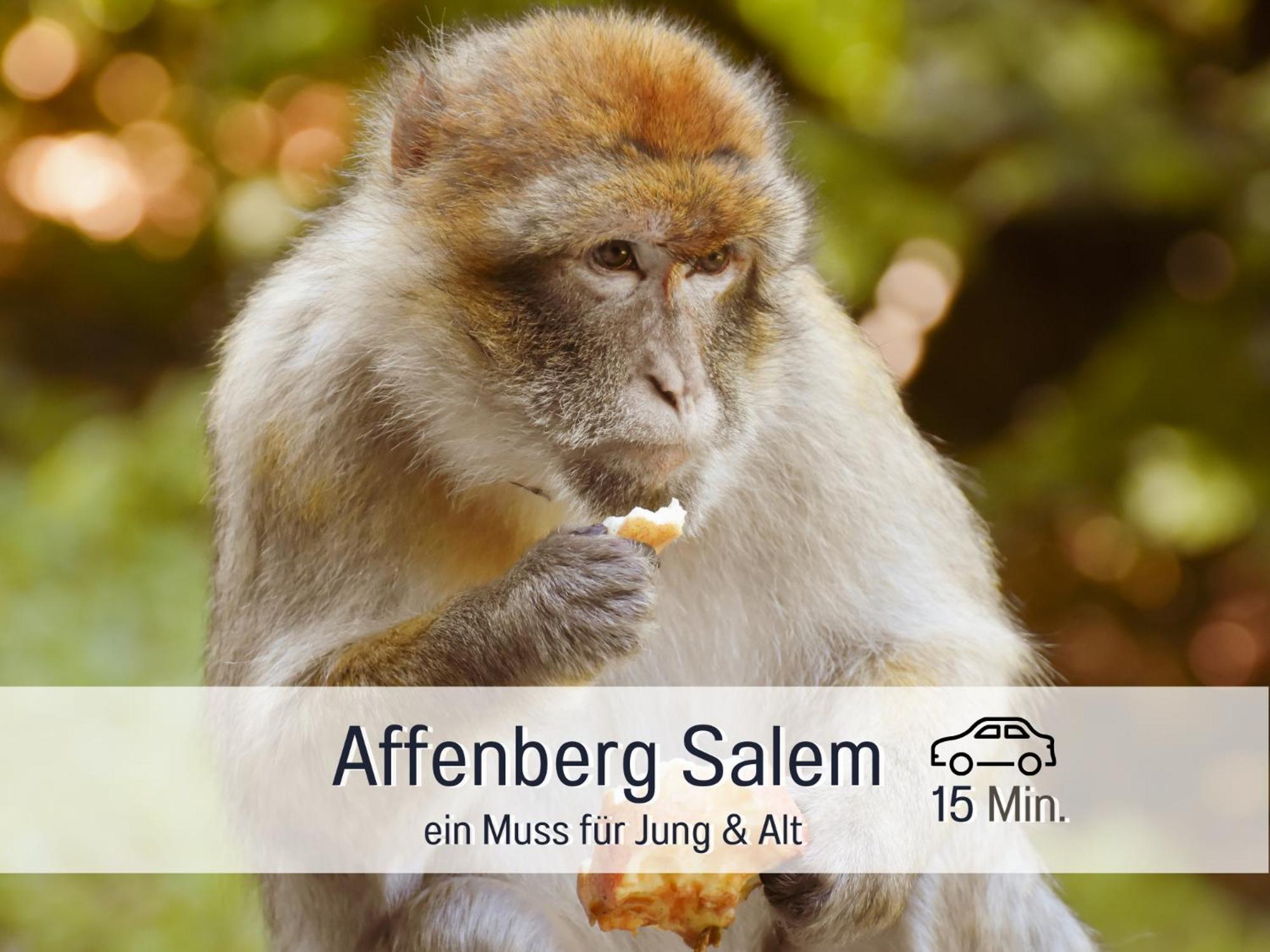 Sonnenterrasse - 3 Schlafzimmer, Whirlpool & Alpenblick - Perfekt Fuer Romantik Oder Familienurlaub Mit Kind , Hund Willkommen By Ferienwohnenamsee - Uberlingen Eksteriør bilde