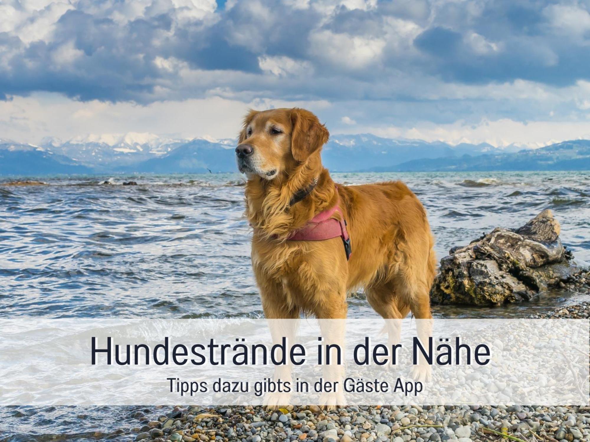 Sonnenterrasse - 3 Schlafzimmer, Whirlpool & Alpenblick - Perfekt Fuer Romantik Oder Familienurlaub Mit Kind , Hund Willkommen By Ferienwohnenamsee - Uberlingen Eksteriør bilde