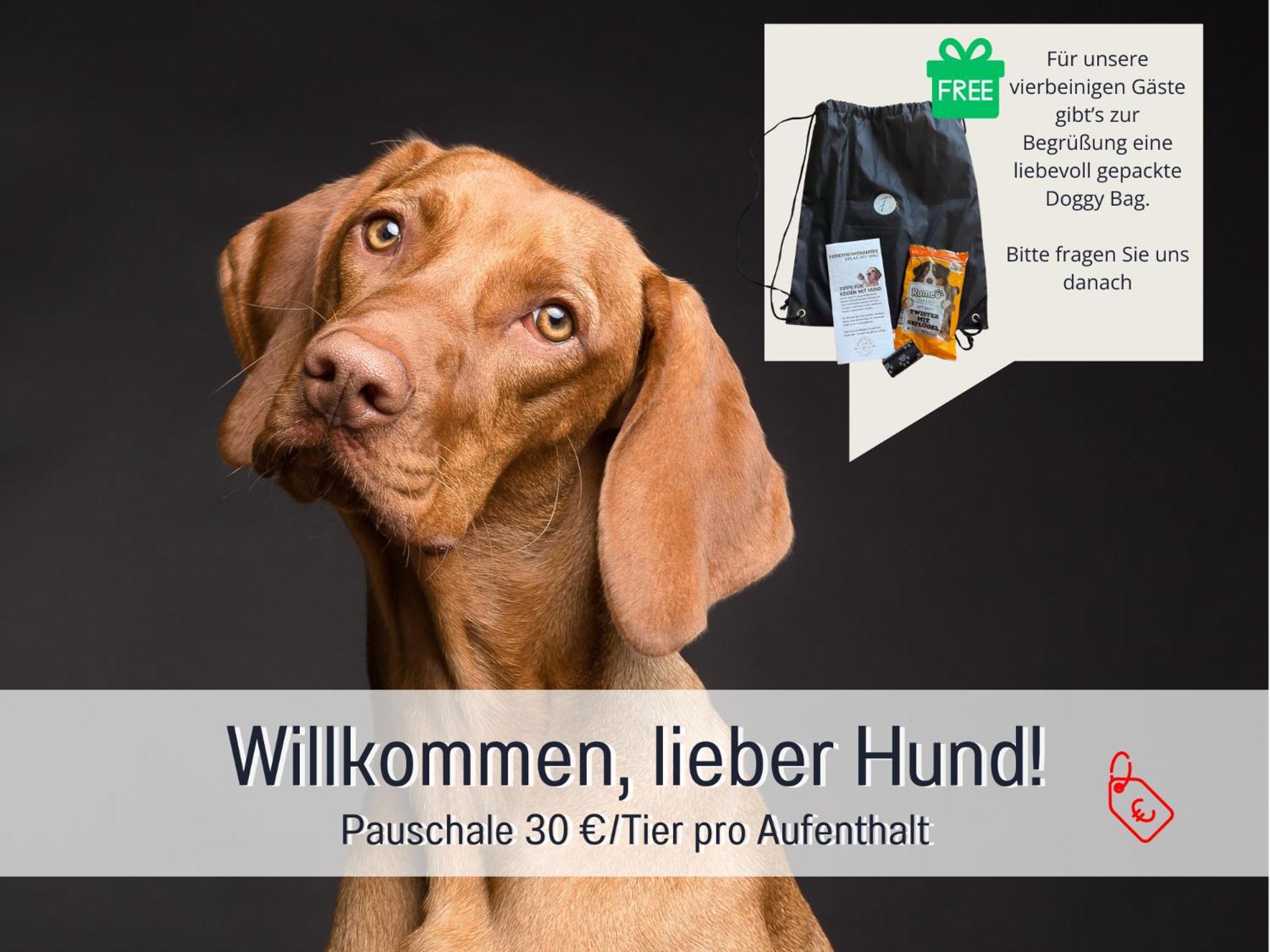 Sonnenterrasse - 3 Schlafzimmer, Whirlpool & Alpenblick - Perfekt Fuer Romantik Oder Familienurlaub Mit Kind , Hund Willkommen By Ferienwohnenamsee - Uberlingen Eksteriør bilde