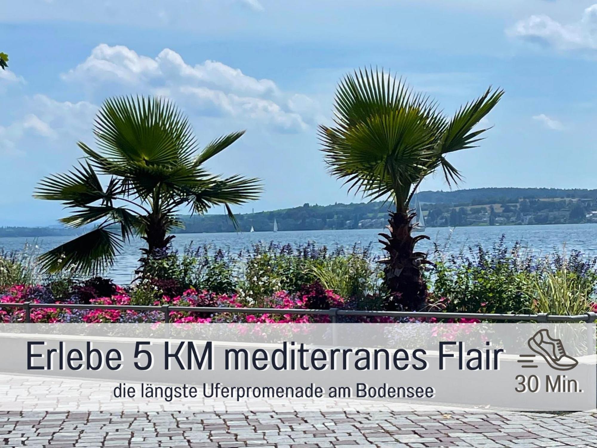 Sonnenterrasse - 3 Schlafzimmer, Whirlpool & Alpenblick - Perfekt Fuer Romantik Oder Familienurlaub Mit Kind , Hund Willkommen By Ferienwohnenamsee - Uberlingen Eksteriør bilde